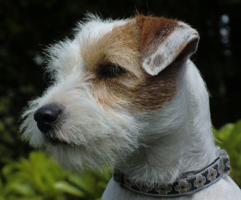 Publication : La vallée de l'echiquier