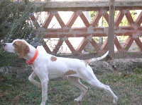 Publication : Du Royaume Des Joyaux 