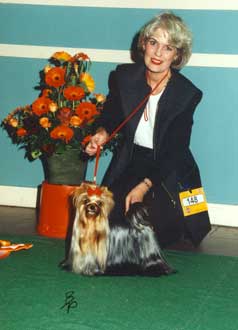 CH. pearlstring Come rain come shine