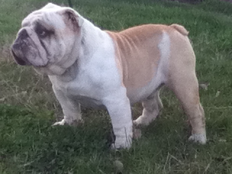 Publication : du soleil et de la lune Auteur : Patricia Rutkowski