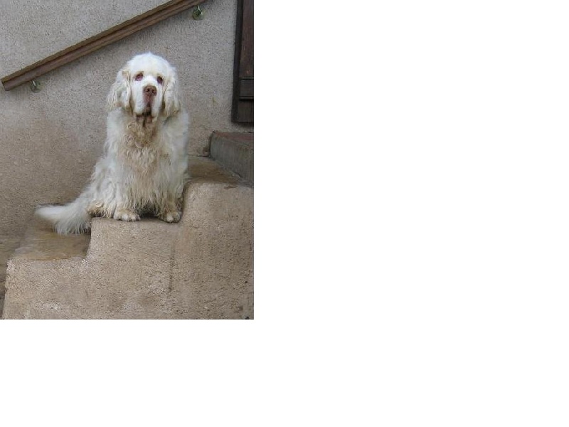 Publication : De La Haute Grosne Auteur : Leigh Dupont