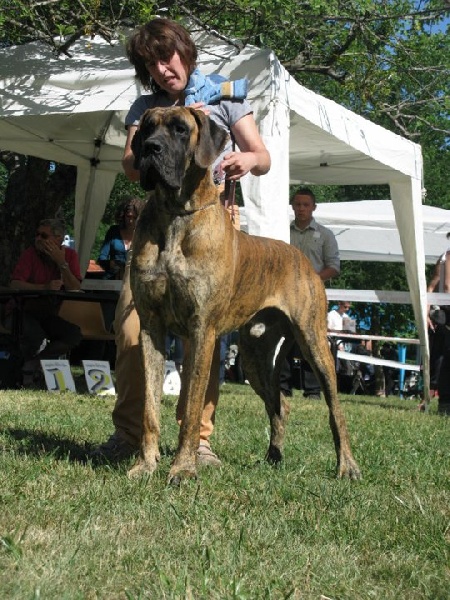 Aragon Della baia azzurra