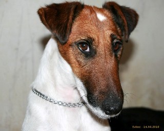 Publication : De La Tour De Cruzières Auteur : Colette COULANGES