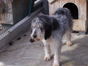 Publication : Du Petit Coutouras Auteur : moi même