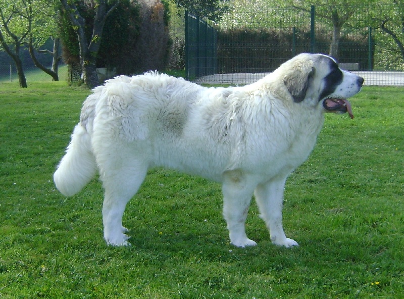 Publication : bordagaray