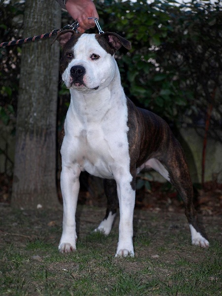 Publication : des terres indiennes