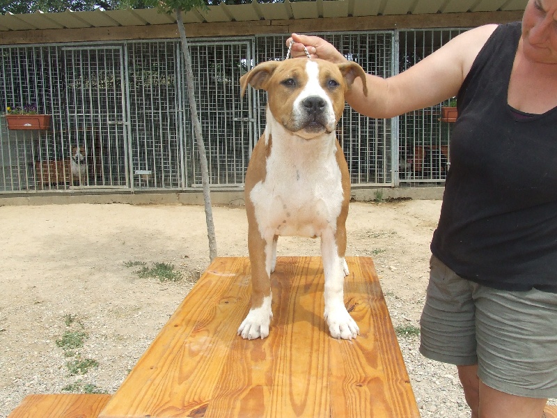 Publication : du chant de hienda