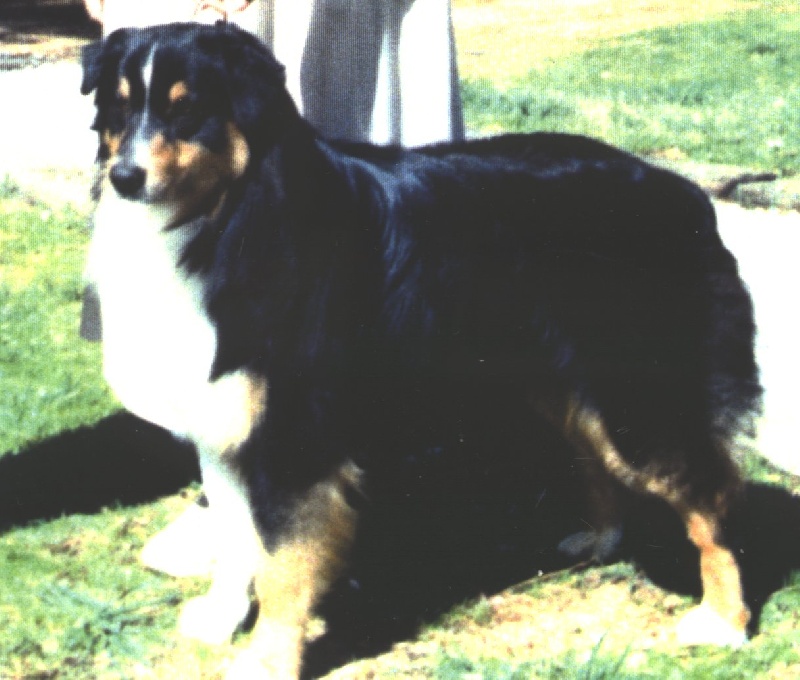 brookridge Sheer power