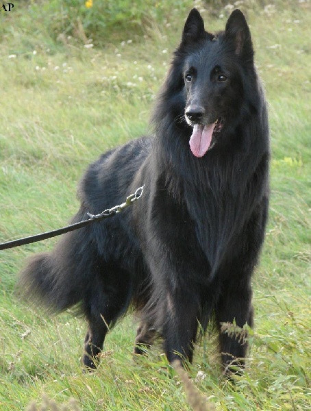 nightrunner's Hiking heikko