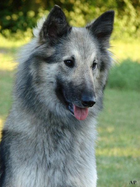 Miss missisipi polaris