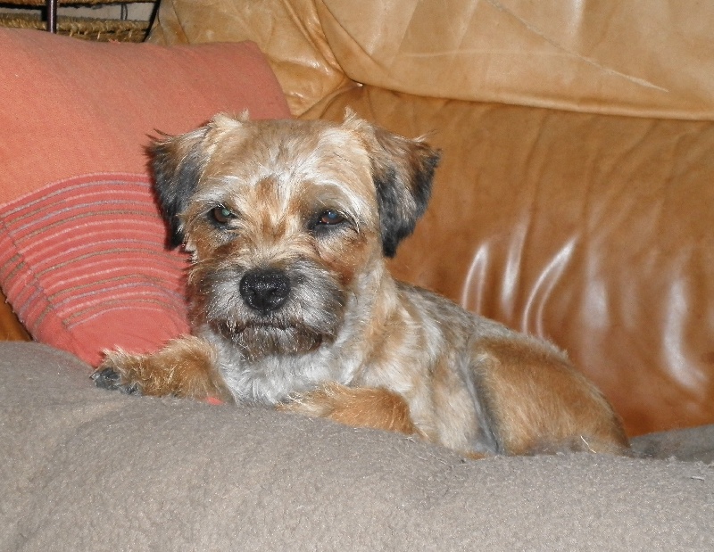 Publication : Orikin's 