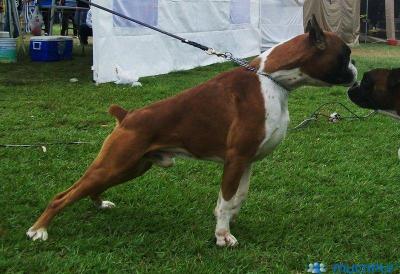 Trueno de Las Arillas