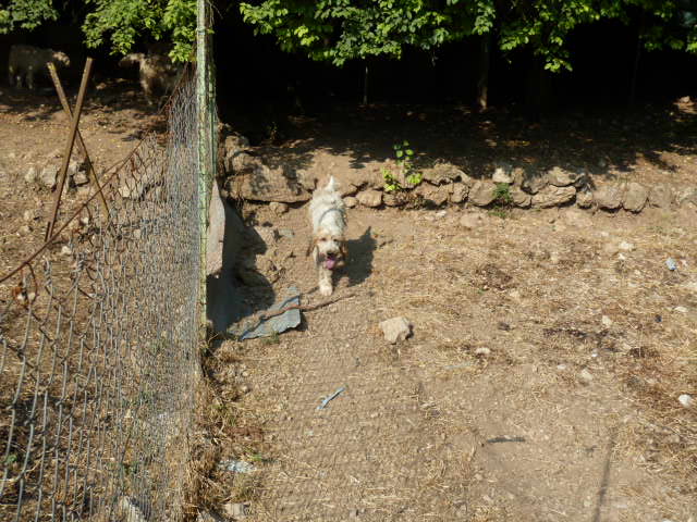 Publication : De La Tour Saint Julien De Suez