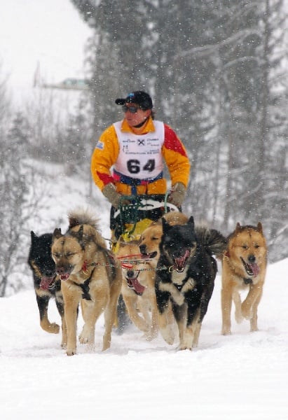 Publication : Of amarit 