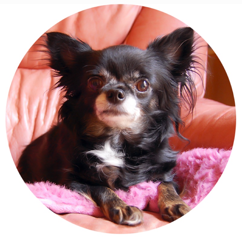 Liquirizia Bianca gemma