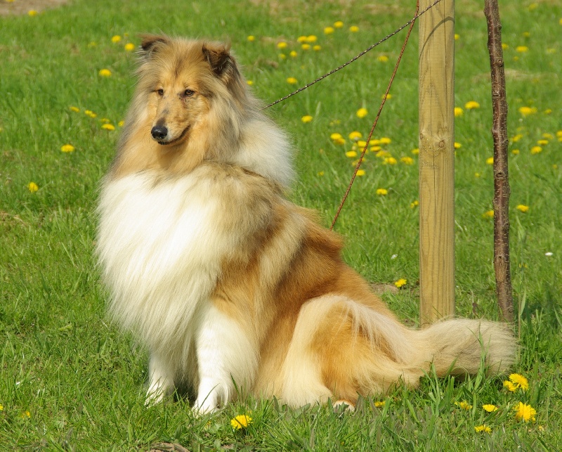 Publication : Van Thaborberg