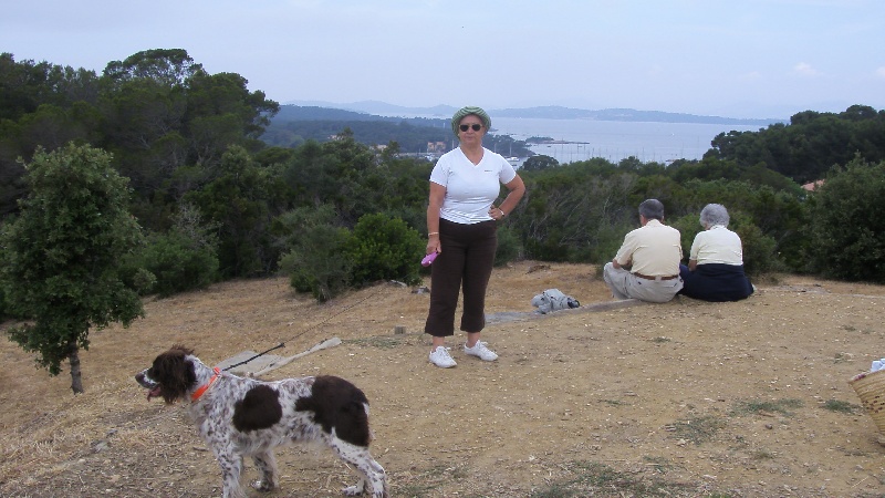 Publication : Du Domaine De Jominiol Auteur : PAUL MAYAN