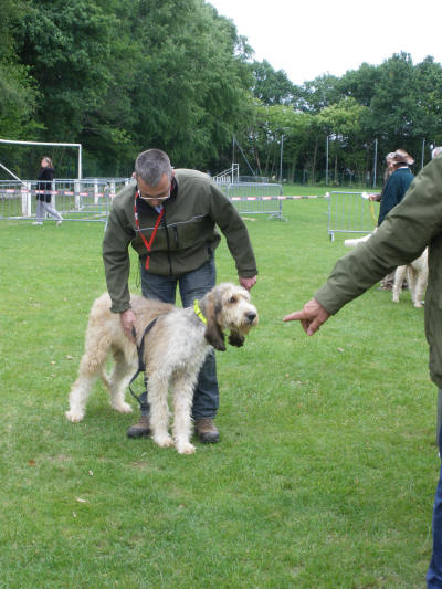 Publication : Des échos Du Pays Comtois 