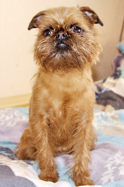 Publication : imgosbull 