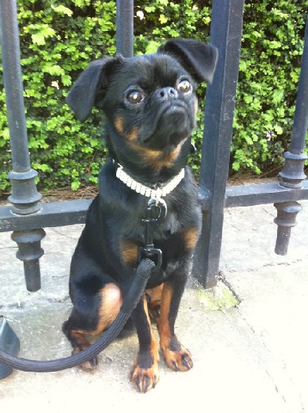 Publication : du Domaine des Cotieres 