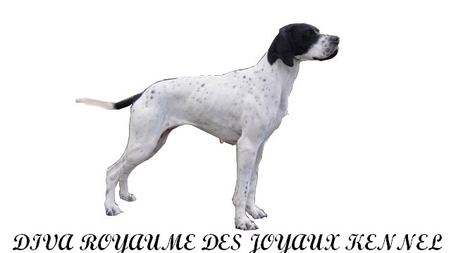 Diva du pic del Perdigueiro