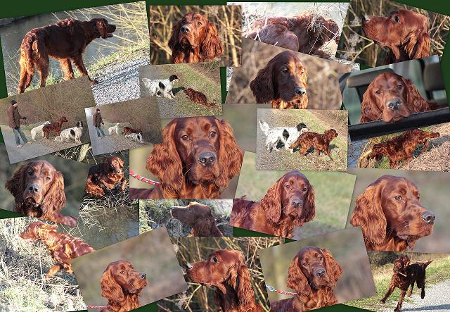 Publication : De La Croix Seizine Auteur : Georges Laforge