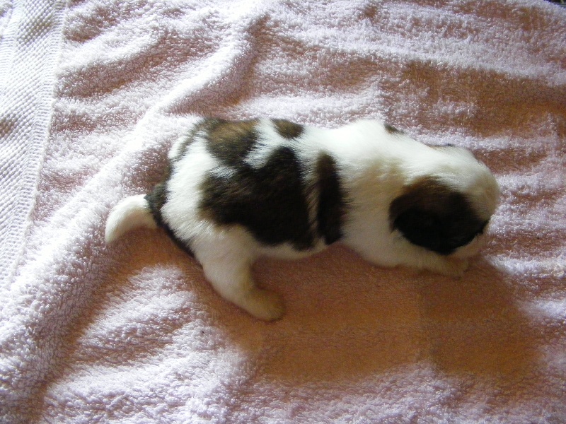 Publication : au Royaume D'Endjy Auteur : llmdm