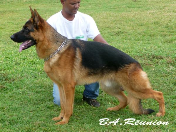 Publication : du Fort de Cadres 