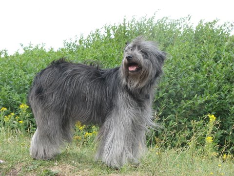 Publication : D'al pirgotte Auteur : Delrée Corinne