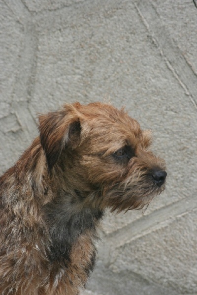 Publication : d'un autre futur 