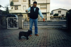 CH. Aramis Della picadette