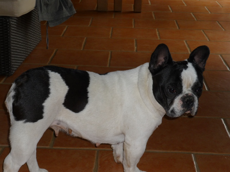 Arlette Les pas de tacite