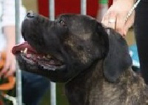 Publication : des Dunes Des Sages 