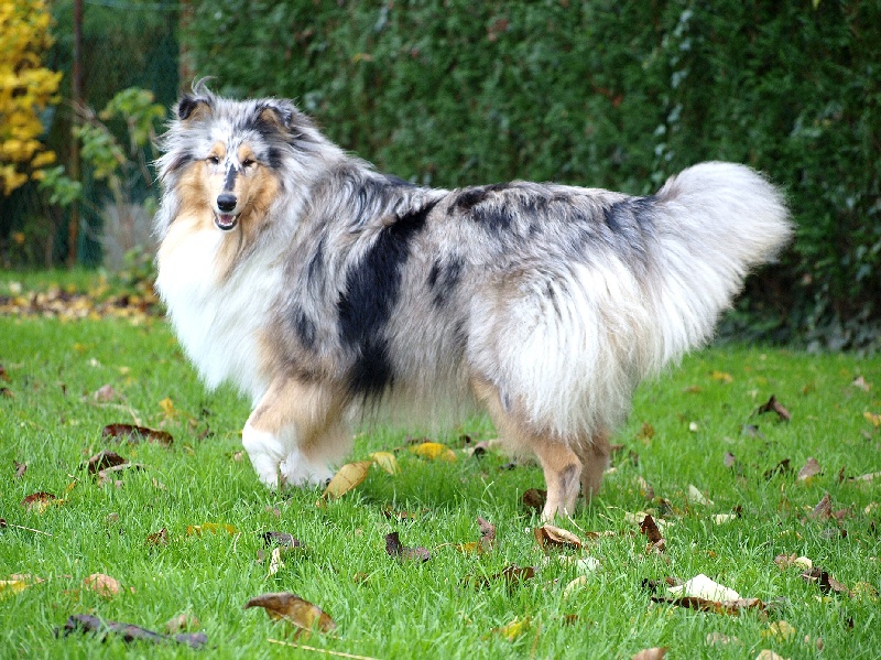 Enjoy blue du Domaine de Jean-Vincéanne