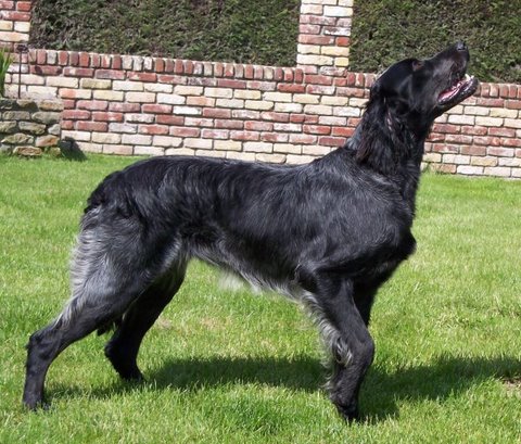 Publication : Des vives 