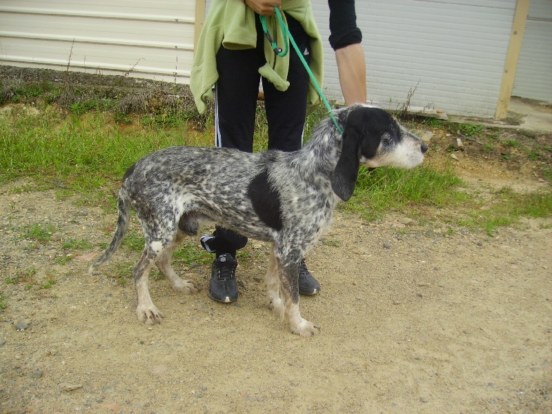 Publication : des étoiles de l'Armagnac 