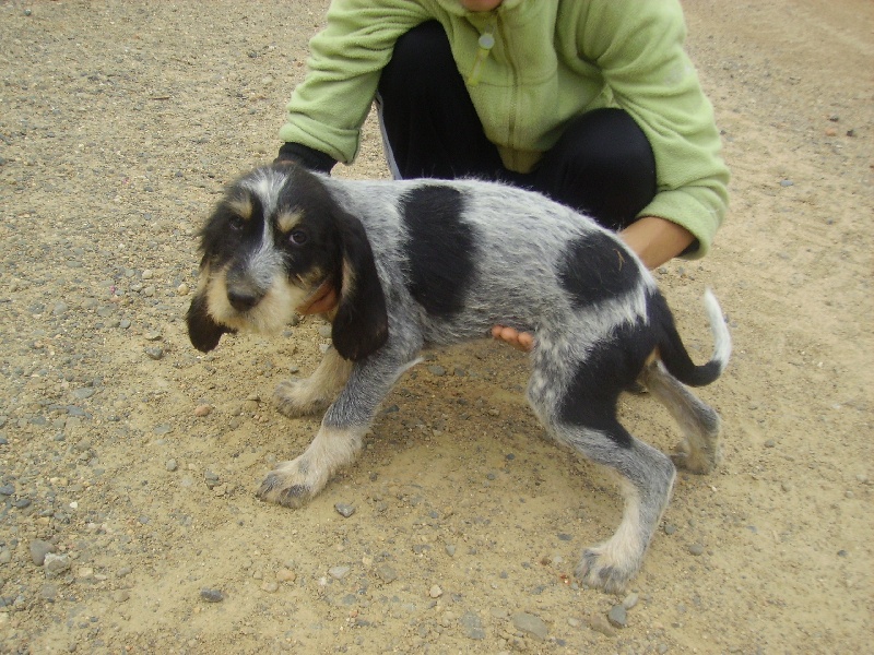 Publication : des étoiles de l'Armagnac