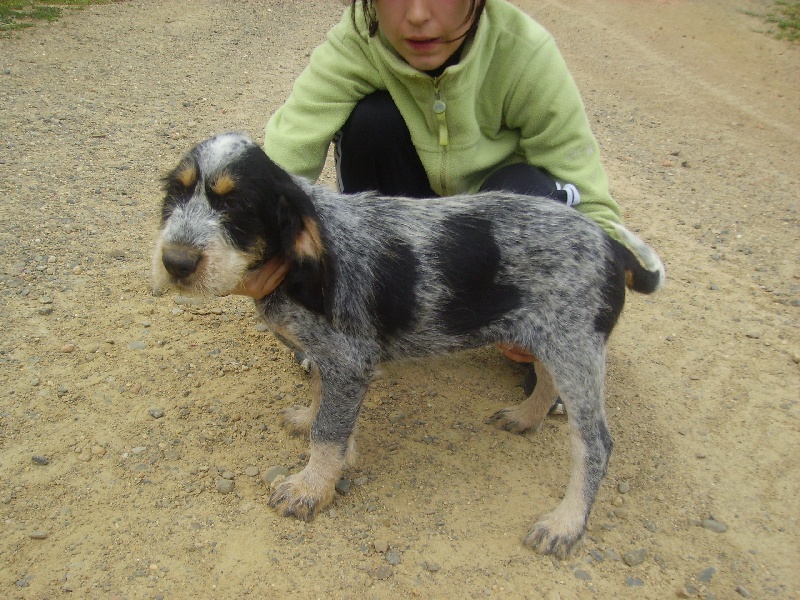 Publication : des étoiles de l'Armagnac 