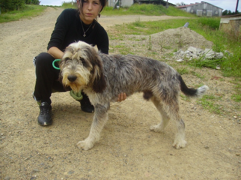 Publication : des étoiles de l'Armagnac 