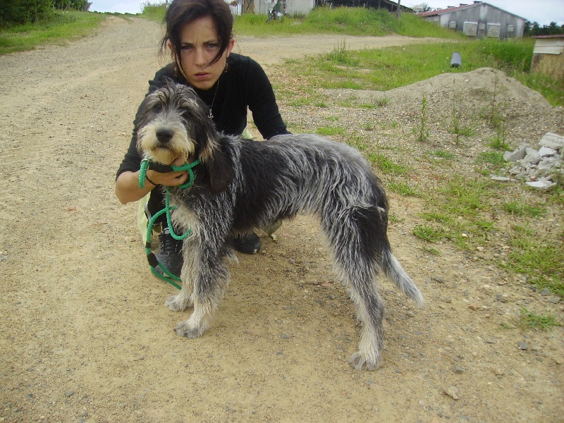 Publication : des étoiles de l'Armagnac