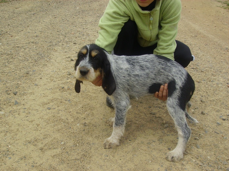 Publication : des étoiles de l'Armagnac