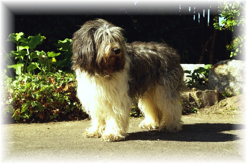 Publication : Du Jardin Des Espiègleries