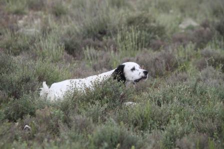 Publication : du Tourbillon Blanc