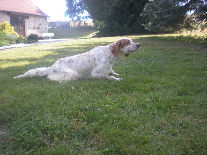 China du Mas d'Eyraud