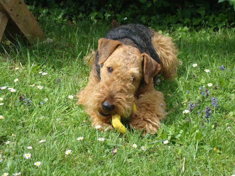 Publication : Larrekia Auteur : JEAN MICHEL SANTOS