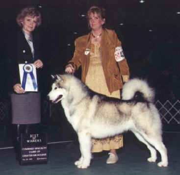 CH. Storm kloud's Aall system go