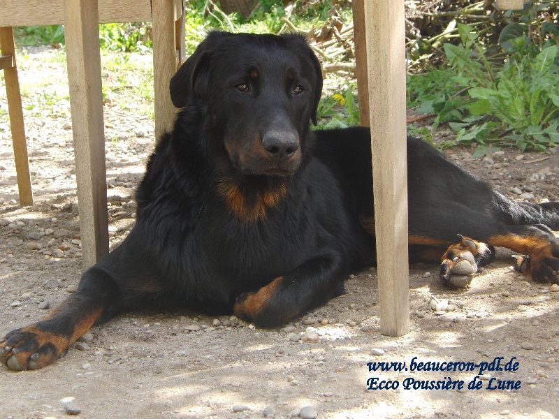 Publication : Poussière De Lune Auteur : Sylke Cierpka