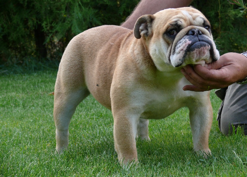 Easy du clos stéfanel