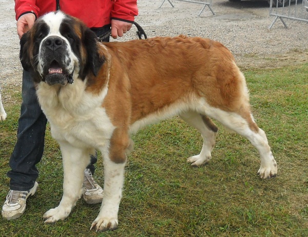 Espelette de la route des lacs