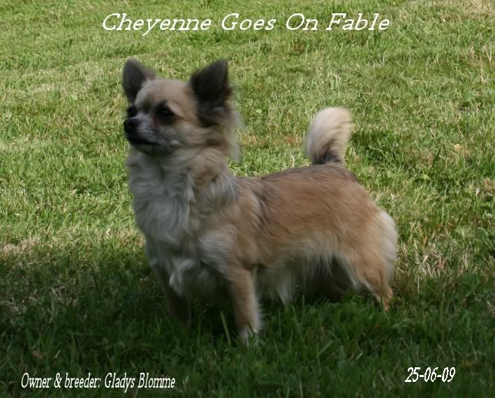 cheyenne goes on Fable